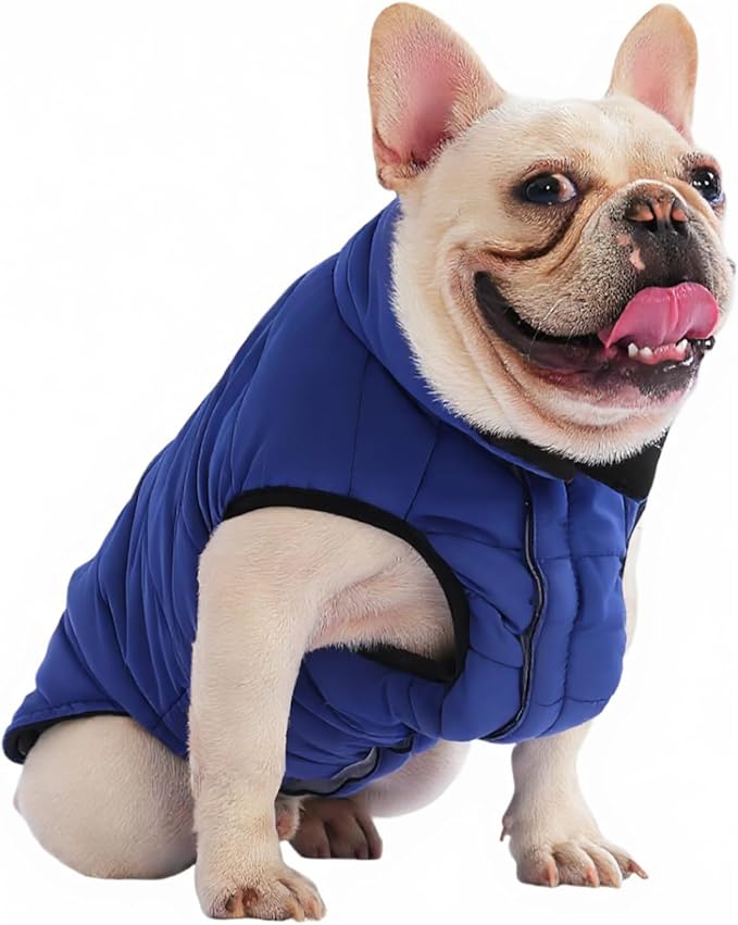 PetWarm Reversible Dog Cold Weather Coats, Waterproof Dog Puffer Vest, Vest for Dogs with Hook-and-Loop Strap, Windproof Outdoor Coat for Winter Walks and Snowy Days, Blue, L