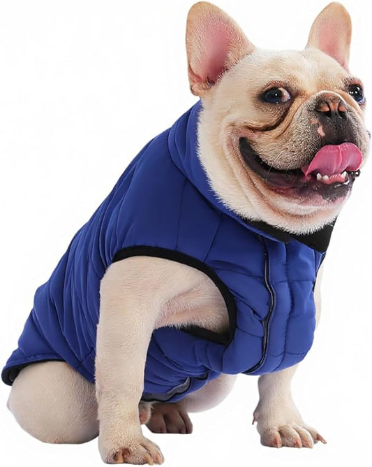PetWarm Reversible Dog Cold Weather Coats, Waterproof Dog Puffer Vest, Vest for Dogs with Hook-and-Loop Strap, Windproof Outdoor Coat for Winter Walks and Snowy Days, Blue, 2XL