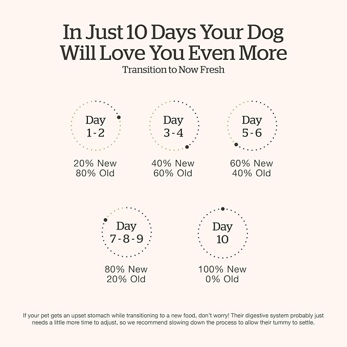 Now Fresh Grain-Free Dry Puppy Food with Turkey, Salmon & Duck, Healthy Kibble for Growing Dogs with Real Meat & Fish, Chicken-Free, Enhanced with Pumpkin & Probiotics for Good Digestion, 22 lb Bag