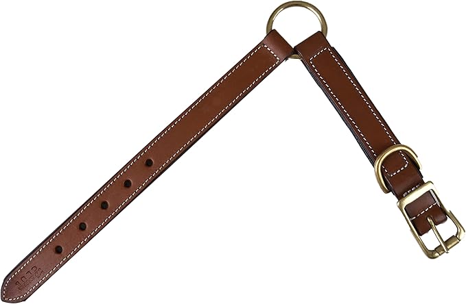 | Genuine Leather Adventure Dog Collar | Full Grain, Heavy Duty | With inner Cushioned padding | Best for Medium, Large & XL Dogs (Large (Fit Neck Size 18.5"-22.5"), Brown With Center O Ring)