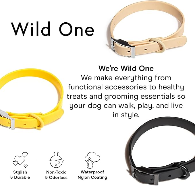 Wild One Dog Collar, Easy-Clean, All Weather Flex-Poly Strap with Metal, Durable, Dirt and Odor Resistant (Black, S)