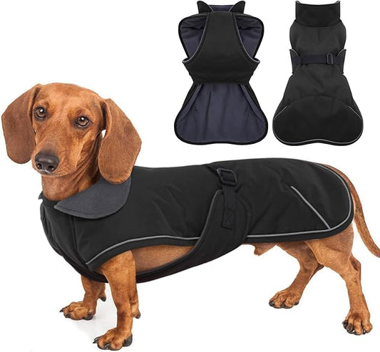 Dachshund Winter Dog Coat - Black, XLarge - Windproof Waterproof with Fleece Lining, Adjustable Buckle Closure, Snowsuit Harness Hole