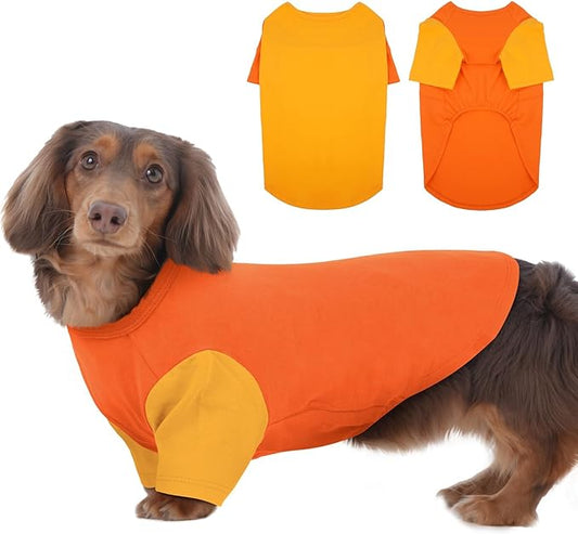 2 Pack Dog Shirt for Medium Dogs - Soft Breathable Summer Cool Tee, Lightweight Comfortable Clothes for Sensitive Skin, Jack Russell, Shihtzu, Indoor Lounging, Walking, Park Play, Orange