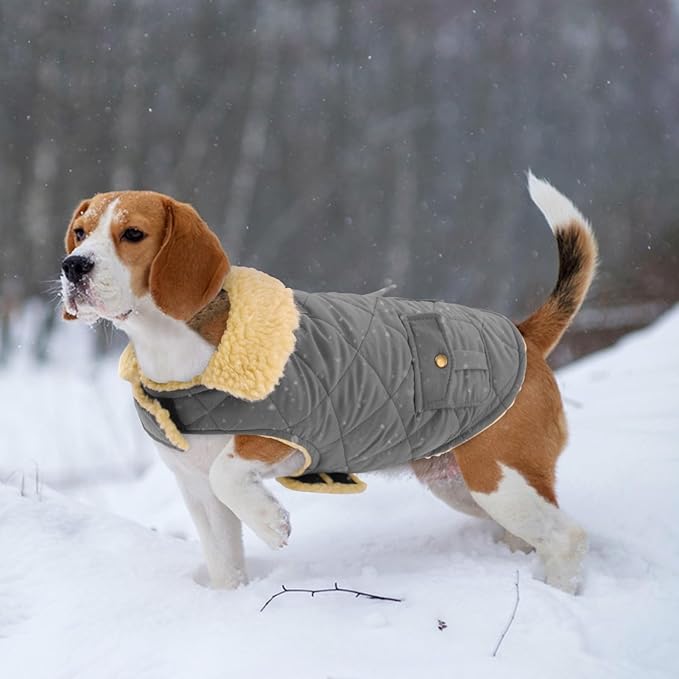 Dog Winter Coat for Small Dogs, Puppy Plaid Jacket, Pet Coat for Cold Weather, Windproof Warm Dog Jackets, Pet Thickened Outfits Indoor Outdoor, Grey S
