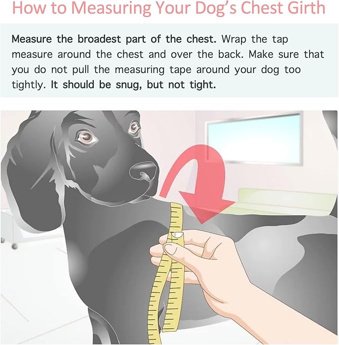 ChoChoCho Stylish Dog Hoodie Dog Clothes Streetwear Cotton Sweatshirt Fashion Outfit for Dogs Cats Puppy Small Medium Large (2XL, White)