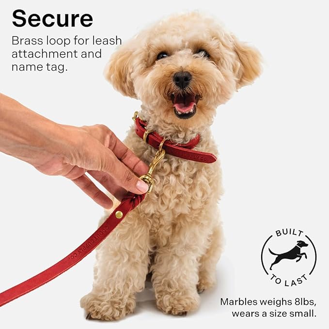 Classic Genuine Leather Dog Collar | Dog Collars for Medium Dogs, Small Dogs, Large Dogs & Extra Large Dog | Wide Dog Collar | Heavy Duty Dog Collar (Red, S: 0.5" Wide for 7.5"-10.5" Neck)