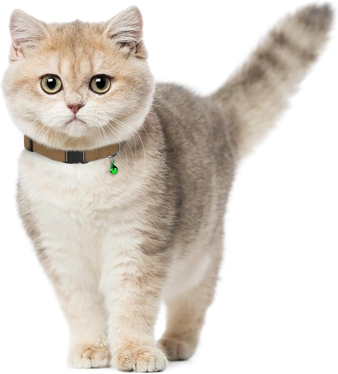 Breakaway Cat Collar Leather with Removable Bell - 13 Colors Available - Soft Adjustable Girl Boy Safety Lightweight Pet Kitten Collars Pink Brown Blue Green Red Orange Black (Black)