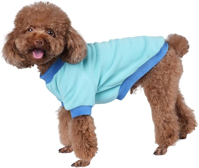 GreenJoy Classic Fleece Dog Sweater – Soft & Warm Stretchy Sweatshirt for Small Dogs & Cats, Cold-Weather Pullover for Everyday Wear (Light Blue, X-Small)