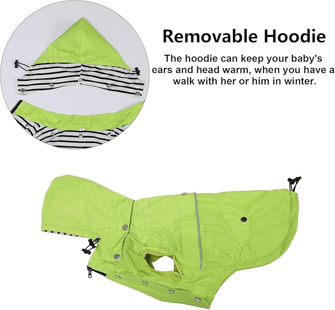 Dog Raincoat Waterproof Raincoats Dog rain Jacket Buttons Zipper Hood Drawstring Suitable for Small Medium Yorkie Terrier Schnauzer Poodle Border Collie Labrador 8lbs to 80lbs Green XXL