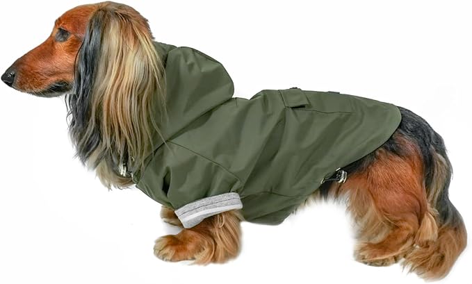 DJANGO Highland Dog Jacket & Raincoat – Water-Repellent, Lined Dog Coat with Hood, Adjustable Fit & Harness Hole – Lightweight Rain & Wind Jacket for Small & Medium Dogs up to 30 lbs (Olive, X-Small)