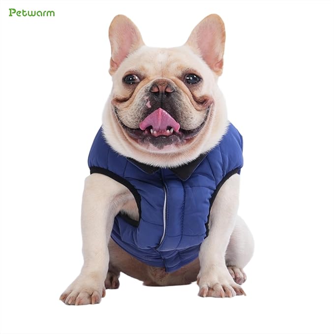 PetWarm Reversible Dog Cold Weather Coats, Waterproof Dog Puffer Vest, Vest for Dogs with Hook-and-Loop Strap, Windproof Outdoor Coat for Winter Walks and Snowy Days, Blue, 2XL