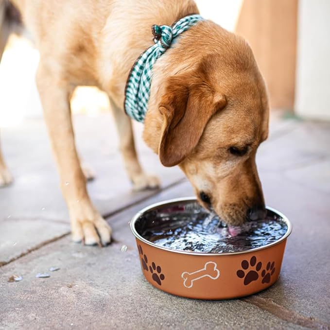 Loving Pets Bella Dog Bowls- Stainless Steel Dog & Cat Bowls - Spill Proof Dog Food Bowl, Cat Bowl, Puppy Essentials & Pet Supplies Great for Home & Travel (Small 10-20 lbs, Copper)
