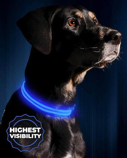 ILLUMISEEN LED Dog Collar USB Rechargeable - Bright & High Visibility Lighted Glow Collar for Pet Night Walking - Weatherproof, in 6 Colors & 6 Sizes (Blue X-Small)