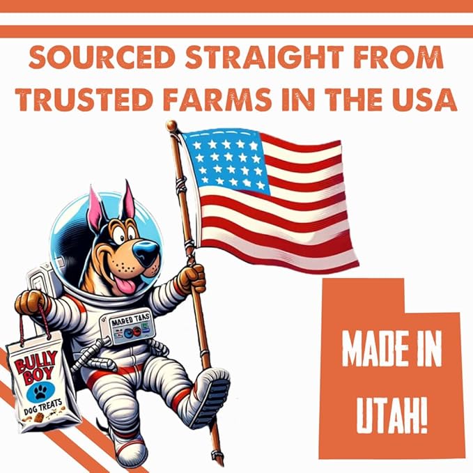 Bully Boy's Famous Chicken Training Nibs Dog Treats | Free from Wheat, Corn, Soy, or Gluten | USA Sourced Ingredients | with Smokehouse Chicken | Made in Utah | 15 oz - 1 Pack