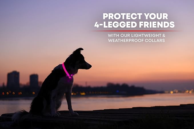ILLUMISEEN LED Dog Collar USB Rechargeable - Bright & High Visibility Lighted Glow Collar for Pet Night Walking - Weatherproof, in 6 Colors & 6 Sizes (Pink X-Small)