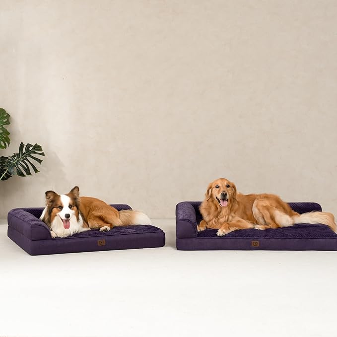 EHEYCIGA Memory Foam Dog Bed XXL, Giant Dog Bed Orthopedic with Washable Removable Cover, Waterproof Pet Bed Couch for Jumbo Dogs, 48x36x7 Inches, Purple