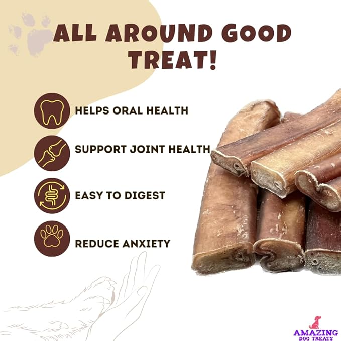 Amazing Dog Treats Bully Stick for Dogs (Extra Thick/Jumbo 6 Inch - 6 Count) - Long Lasting, Safe Chews