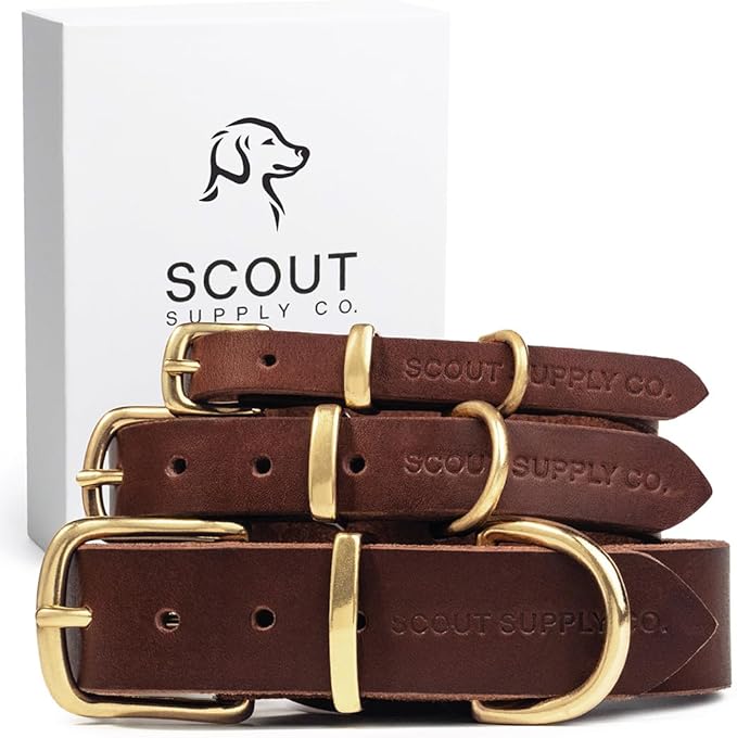 Classic Genuine Leather Dog Collar | Dog Collars for Medium Dogs, Small Dogs, Large Dogs & Extra Large Dog | Wide Dog Collar | Heavy Duty Dog Collar | Dark Brown (XL: 1.2" Wide for 18.5"-21" Neck)