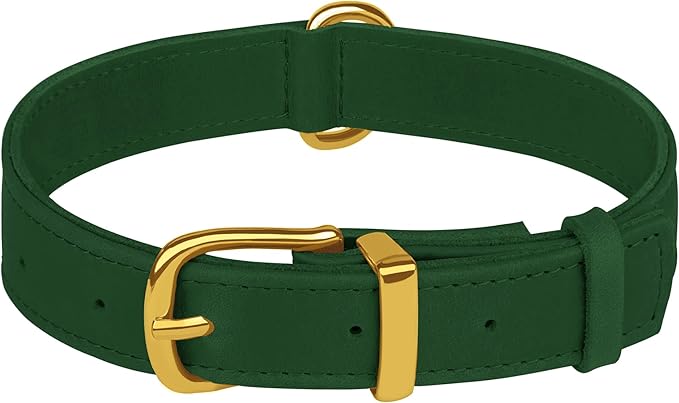 Leather Dog Collar - Heavy Duty Adjustable Soft Padded Pet Collars for Small Medium Large Dogs Breed - Black Green Brown Pink Red Blue (Green, XL, 19"-24" Neck Fit)