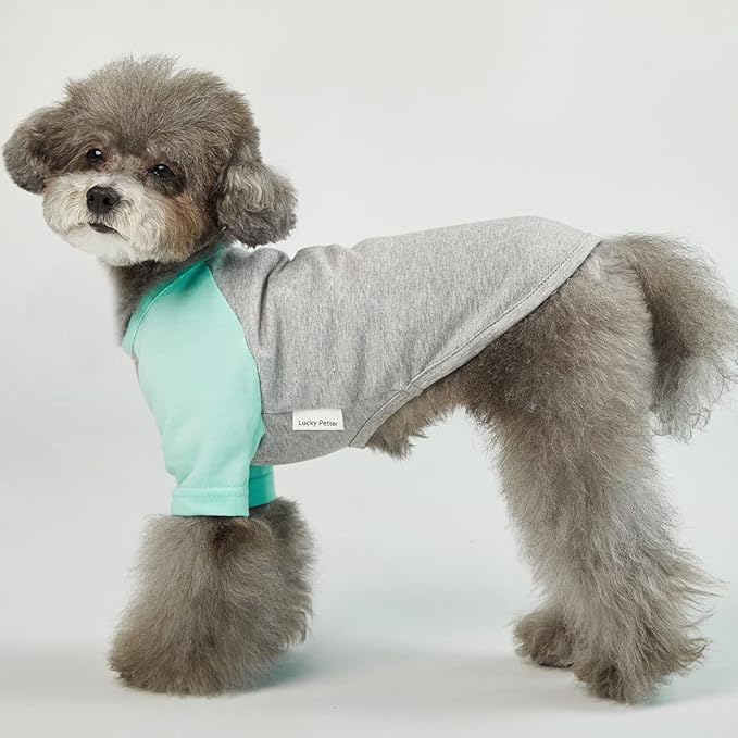 Dog Shirt for Small and Large Dogs Raglan Cotton T-Shirts Soft Breathable Dog Shirts pet Clothes Gray Series (Small, Gray/Mint)