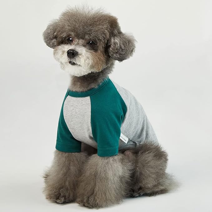 Dog Shirt for Small and Large Dogs Raglan Cotton T-Shirts Soft Breathable Dog Shirts pet Clothes Gray Series (Medium, Gray/Green)