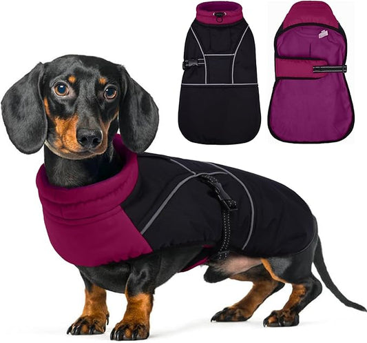 Lelepet Dachshund Coat Warm Dog Winter Coat Waterproof Dog Jacket with Fleece Lining, Reflective Outdoor Dachshund Snowsuit with Leash Hole Adjustable Neckline,Coats for Small Medium Dogs,Purple, XS