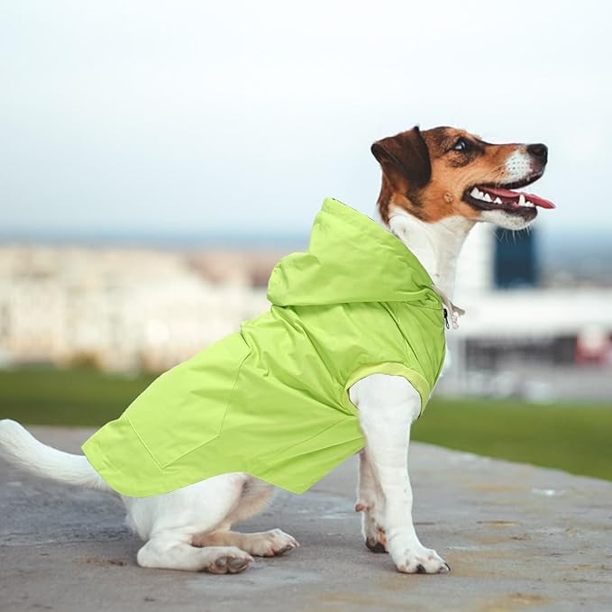 Dog Raincoat rain Jacket Dogs Waterproof fit for Small Medium Breeds Zipper Closure Pocket Storage in Cold Day - Light Green - XL