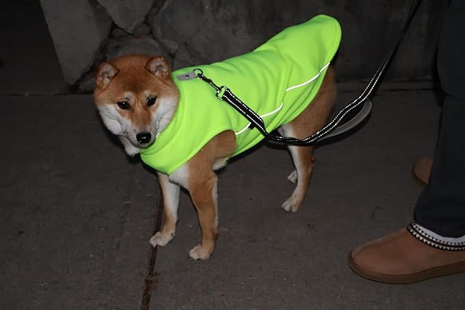 JACKO & CO - Fleece Vest Dog Sweater with Leash Ring - Soft, Warm & Lightweight Pullover Coat for Small & Medium Dogs, Puppies & Cats - Cozy Fall/Winter/Spring Pet Jacket (Lime Green, XL 17-25lbs)