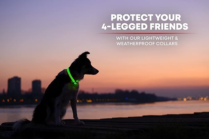 ILLUMISEEN LED Dog Collar USB Rechargeable - Bright & High Visibility Lighted Glow Collar for Pet Night Walking - Weatherproof, in 6 Colors & 6 Sizes (Green Small)