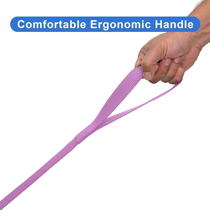 Pawtitas 6 FT Solid Color Orchid Dog Leash - Comfortable Handle, Extra Small/Small, 6 ft