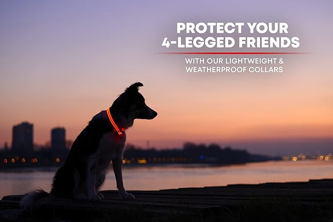 Illumiseen LED Dog Collar USB Rechargeable - Bright & High Visibility Lighted Glow Collar for Pet Night Walking - Weatherproof, in 6 Colors & 6 Sizes (Red X-Small)