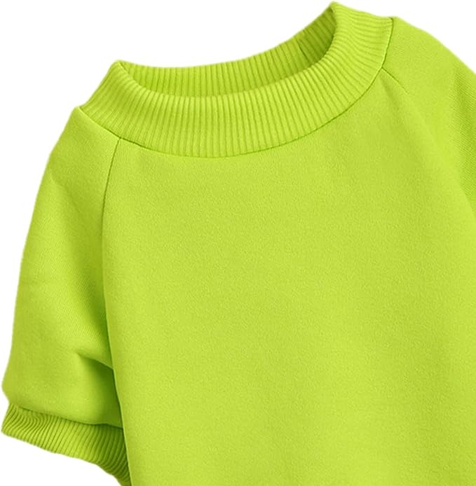 Puppy Sweater for Small Dogs Clothes Warm Winter Cat Clothe Pet Sweatshirt Knitwear Doggie Kitten Clothing, Light Green, X-Large
