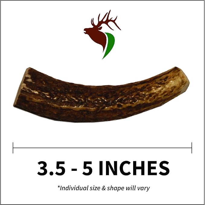 X Small Whole Twin Pack (for 0-15 lb Dogs and Puppies) Premium Grade Elk Antlers for Dogs (2 Pieces) Sourced in The USA