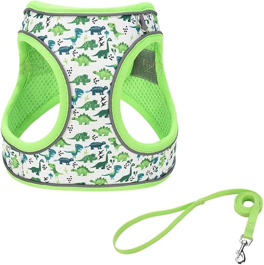 Step in Dog Harness and Leash Set, Flower Adjustable Easy Walk Puppy Harnesses, Soft Mesh Pet Vest Harness Small Size Dog Adjustable No Pull Dog Harness for Small Medium Dogs(Dinosaur1, M)