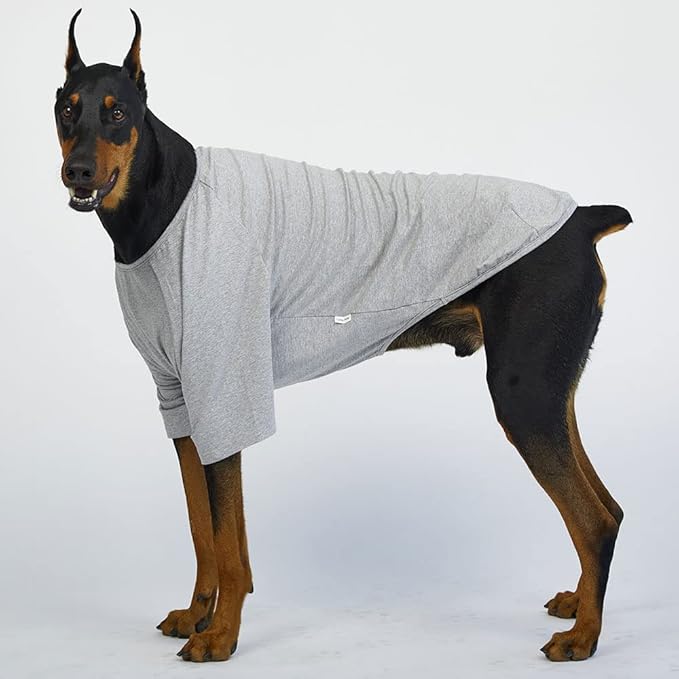 Dog Shirt for Small Dogs Plain T-Shirts Soft Breathable Dog Cotton Shirt pet Clothes (4X-Large, Gray)