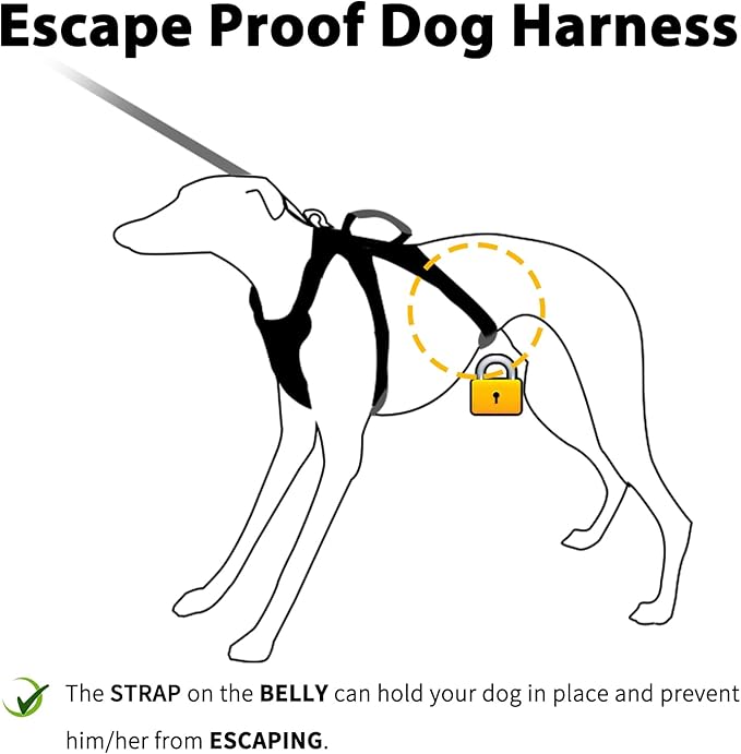Huntboo Escape Proof Dog Harness, Escape Artist Harness, Fully Reflective Harness with Padded Handle, Breathable, Durable, Adjustable Vest for Small Dogs Walking, Training, and Running Gear (Teal,S)