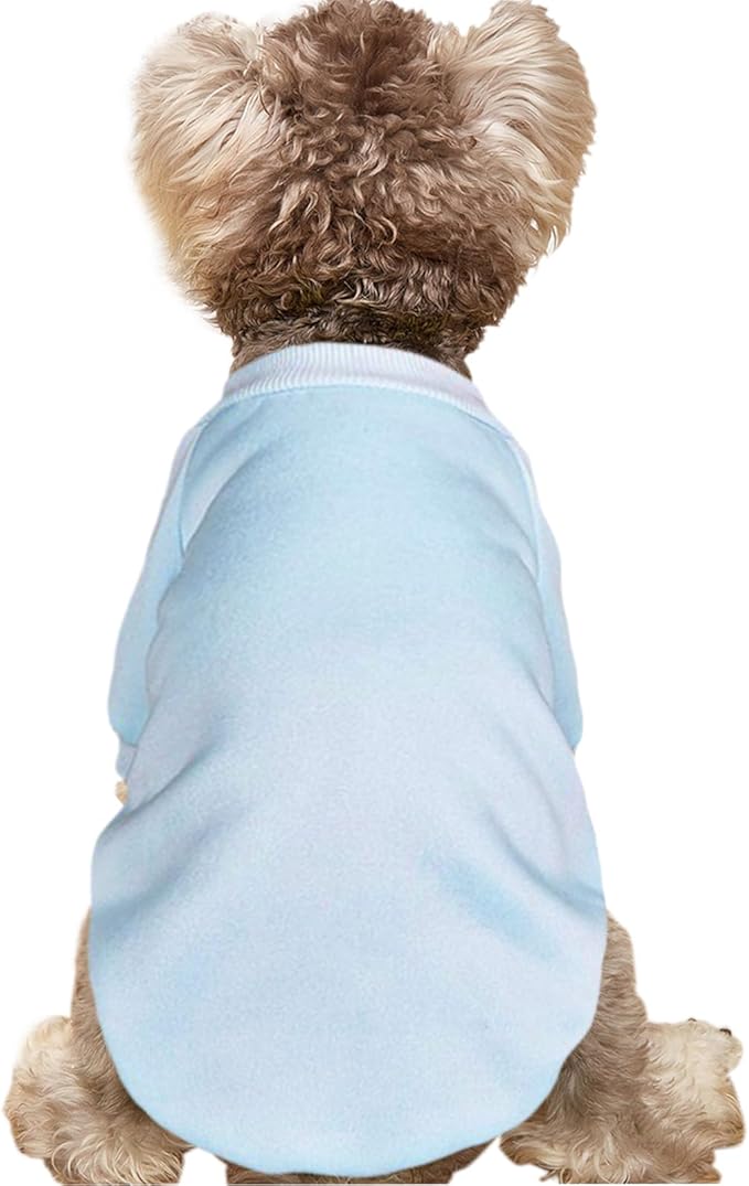 Puppy Sweater for Small Dogs Clothes Warm Winter Cat Clothe Pet Sweatshirt Knitwear Doggie Kitten Clothing, Light Blue, Small