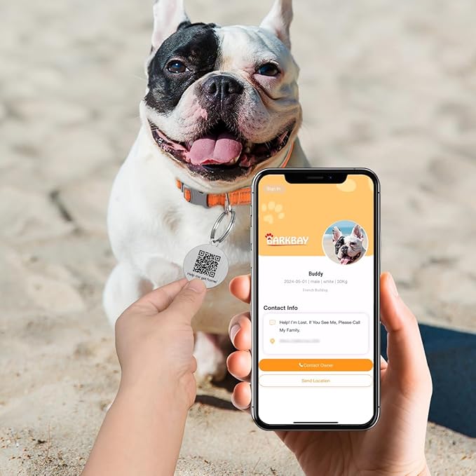 Dog Tags Personalized for Pets,Dog Name Tags QR Code,No Subscription Fees,Modifiable Pet Online Profile,Stainless Steel,No App Required,for Dogs and Cats Small,Medium,Large(Round,Regular)