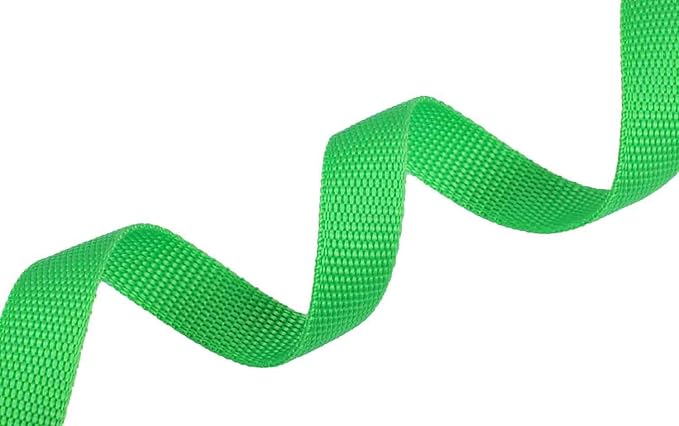 AMAGOOD 6 FT Puppy/Dog Leash, Strong and Durable Traditional Style Leash with Easy to Use Collar Hook, Great for Small, Medium and Large Dogs (1 in x 6 ft(Pack of 1), Green)