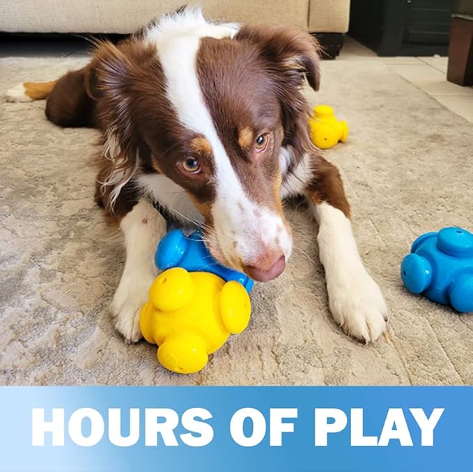 Dog Puzzles for Smart Dogs, Interactive, Puzzle Treats, Puppy Puzzle, Toys to Keep Them Busy, Cognitive Dog Games, Toys for Bored Dogs, Advanced Puzzles, Boredom Busters (6 Pieces)