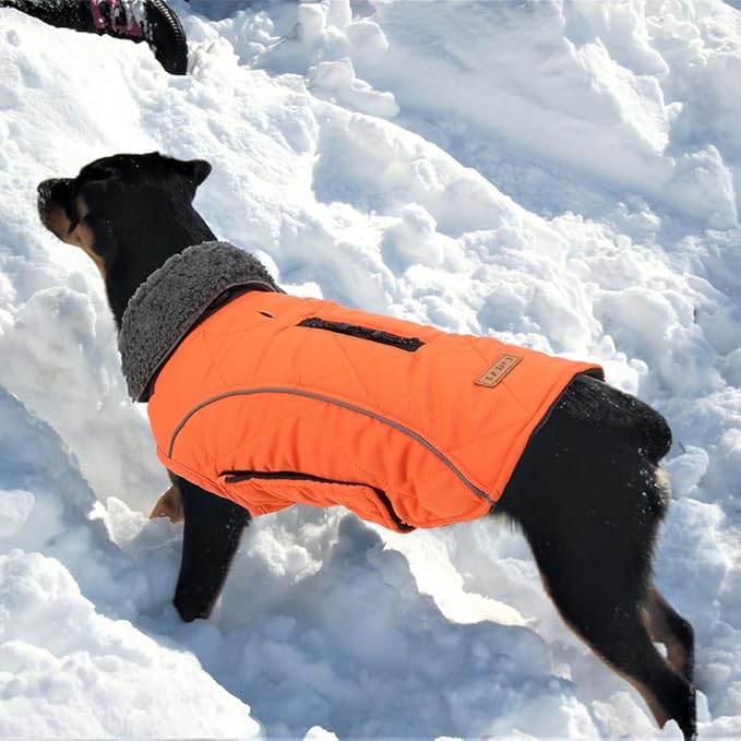 EMUST Dog Winter Jackets, Small/Medium/Large Dog Coat for Winter, French Bulldog Clothes for Dogs, Pet Cold Jacket for Large Dogs, Orange, XL