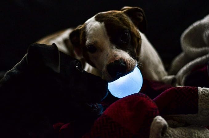 Outward Hound by Planet Dog Strobe Light Up LED Ball Dog Toy, Blue
