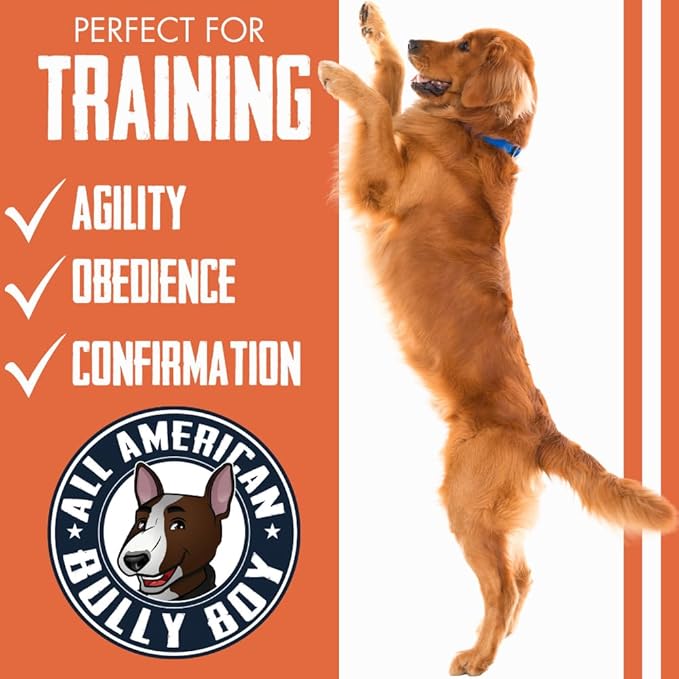 Bully Boy's Famous Chicken Training Nibs Dog Treats | Free from Wheat, Corn, Soy, or Gluten | USA Sourced Ingredients | with Smokehouse Chicken | Made in Utah | 7 oz - 1 Pack