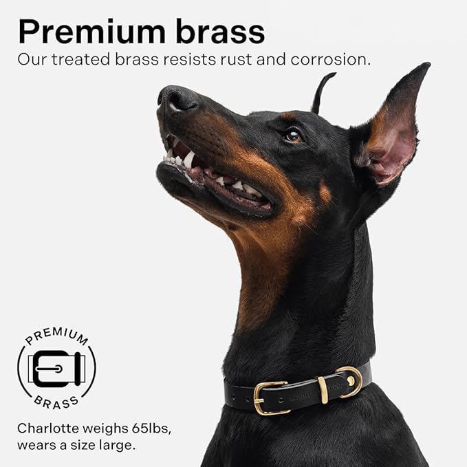 Classic Genuine Leather Dog Collar | Dog Collars for Medium Dogs, Small Dogs, Large Dogs & Extra Large Dog | Wide Dog Collar | Heavy Duty Collar (Black, XX Large)