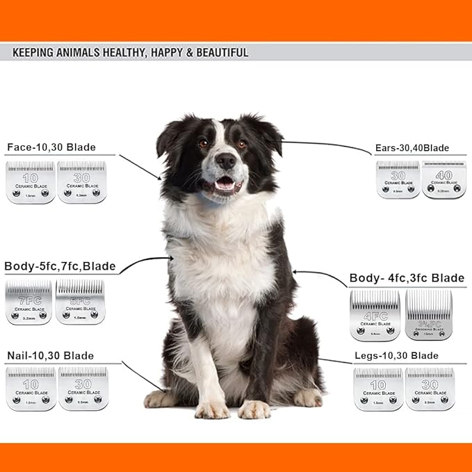 10 Blade Dog Grooming Clipper Blades Compatible with Andis Dog Clippers,Detachable Stainless Steel Blade,Size 10, 1/16-Inch Cut Length