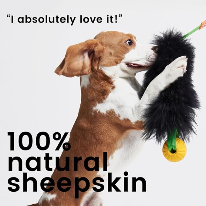 HOWGO Dog Rope Toy,Dog Bungee Chaser Toy 100% Sheepskin,Sheep Smell Tug Toy for All Breeds (Orange, Long Without Ball)