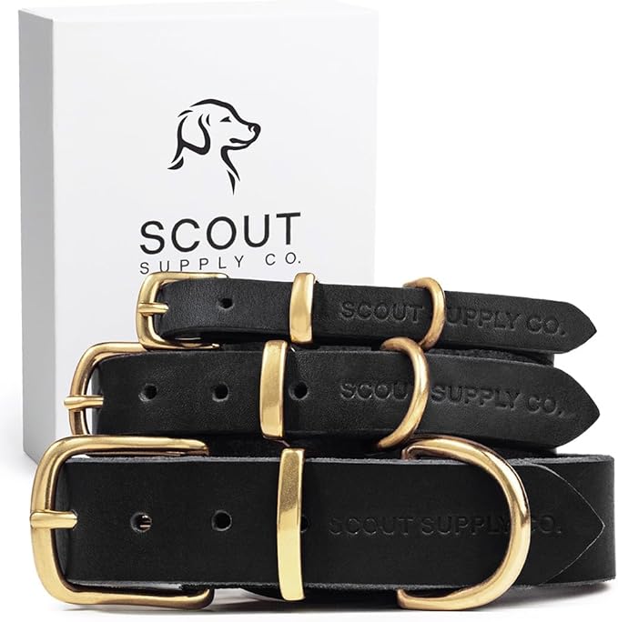 Classic Genuine Leather Dog Collar | Dog Collars for Medium Dogs, Small Dogs, Large Dogs & Extra Large Dog | Wide Dog Collar | Heavy Duty Collar (Black, Extra Large)