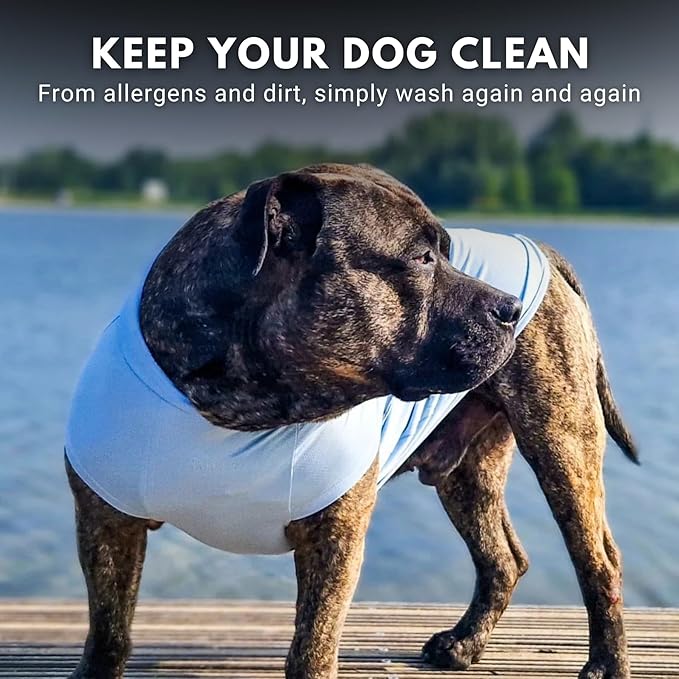 Spark Paws Sunblock Dog T-Shirt, SPF30 Protection, Lightweight Breathable Quick Dry for Dogs with Sensitive Skin - Blue & Mint (Set of 2) - 2XL