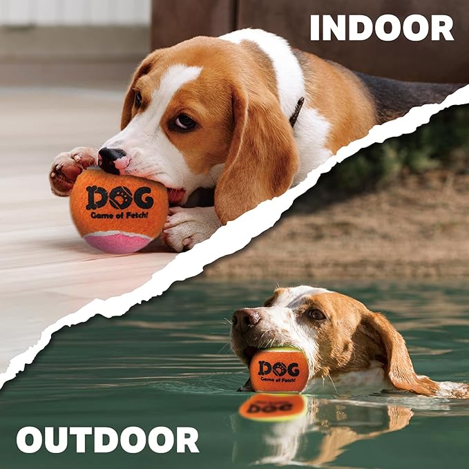 AMA SPORT Squeaky Tennis Balls for Dogs 2.0" Small Dog Tennis Balls for Throwing and Fetching Dog Toys for Training, Exercise, High Bouncing 12 Pack (Multicolor A)