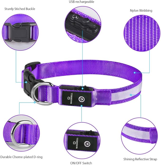 MASBRILL Light Up Collar, LED Rechargeable Glow Flashing Night Collar, Waterproof, 4 Colors, 3 Sizes for Small to Large Dogs (S(0.98 * 15.75"), Purple)